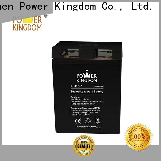 Power Kingdom comprehensive after-sales service can you charge an agm battery with a regular charger factory price electric toys
