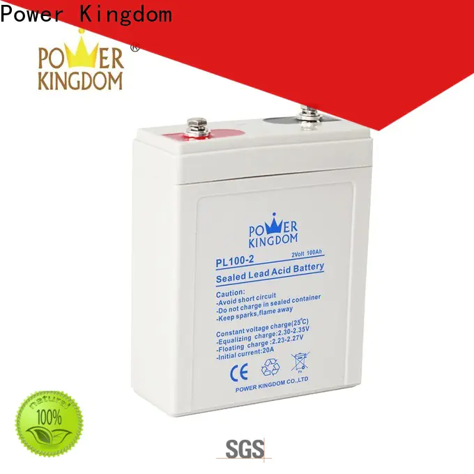 Power Kingdom fine workmanship best agm battery manufacturers fire system