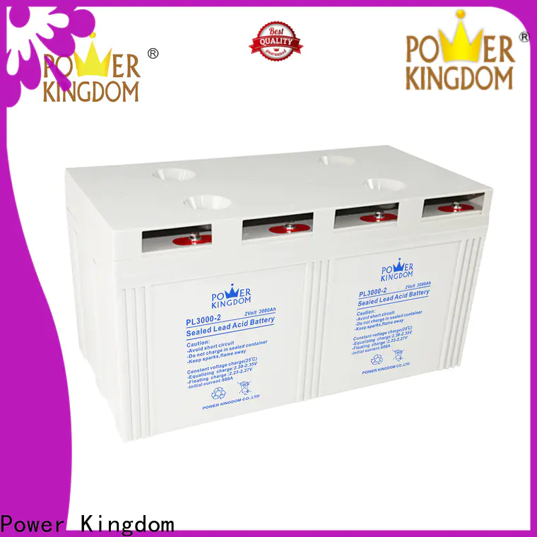Power Kingdom tubular gel batteries company electric toys