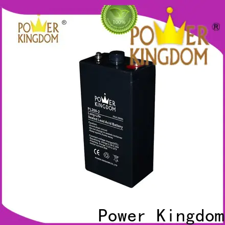 Power Kingdom agm absorbed glass mat batteries factory electric toys