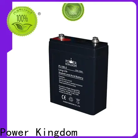 Power Kingdom New gel cell charger for business communication equipment