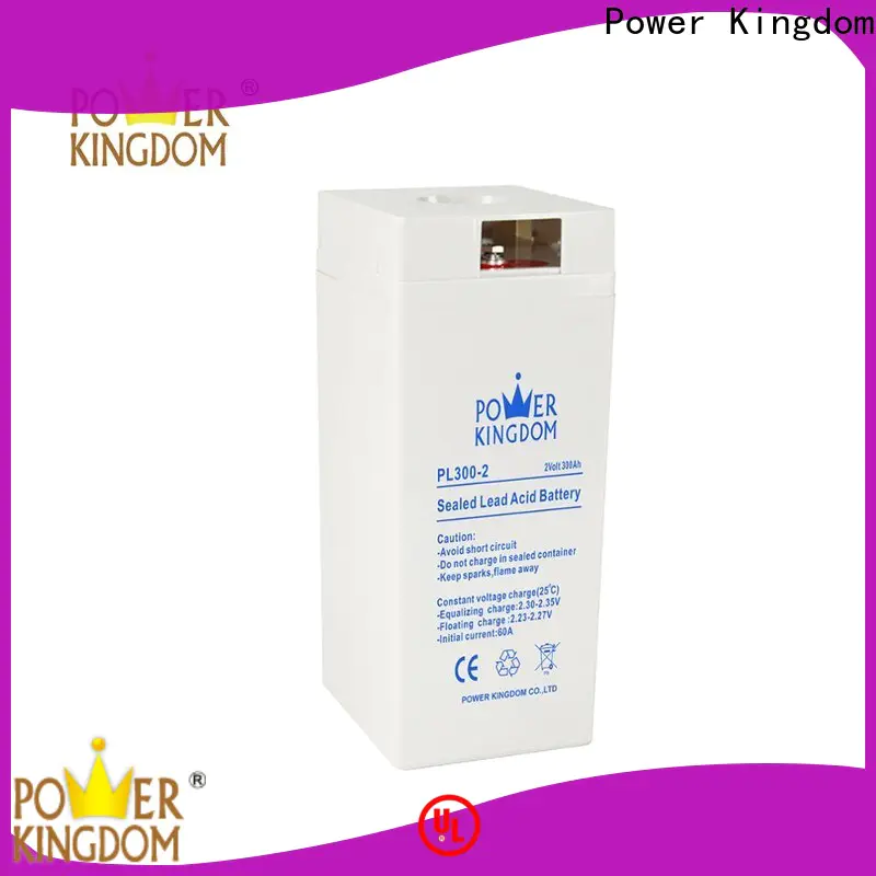 Power Kingdom good quality pb gel battery directly sale communication equipment