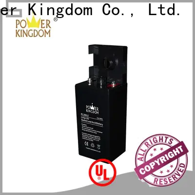 Power Kingdom Best agm battery charging voltage factory price electric toys