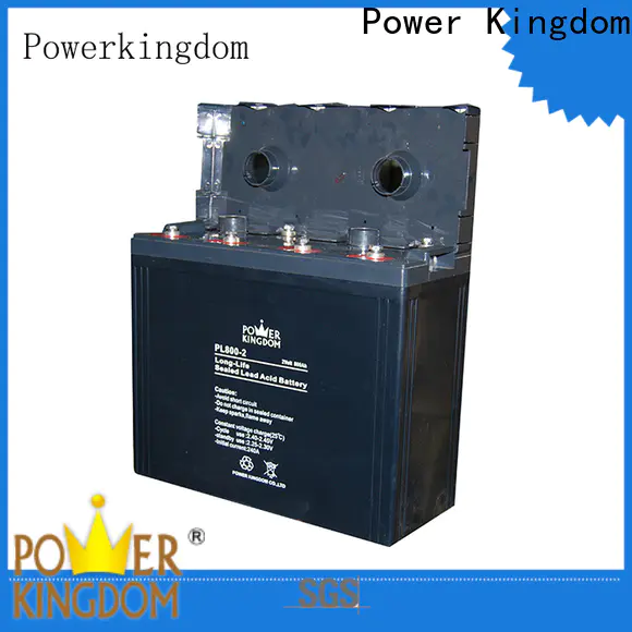 Power Kingdom agm battery low voltage Suppliers electric toys