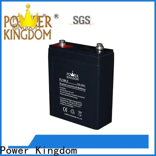 Power Kingdom 12v 33ah agm battery factory electric toys