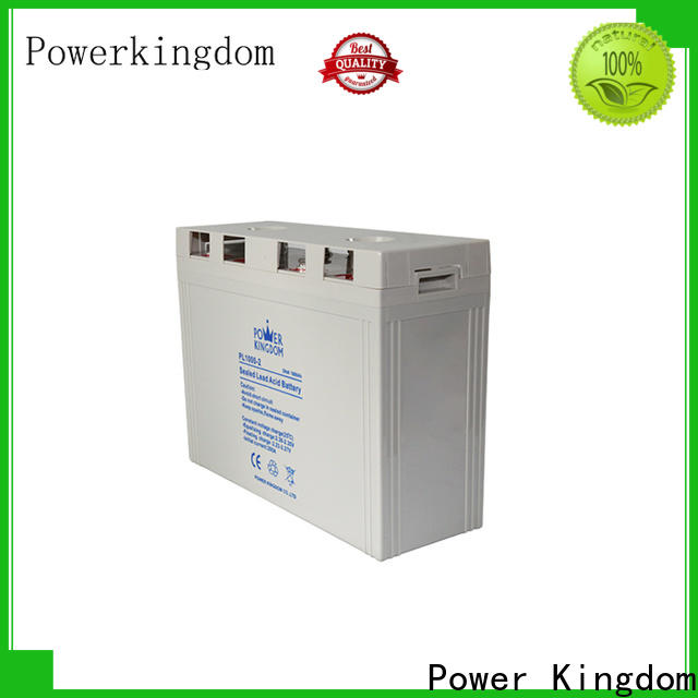 Power Kingdom 12v vrla factory electric toys