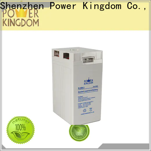 Power Kingdom Top premium agm battery company electric toys