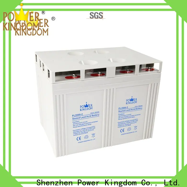 fine workmanship agm style battery for business fire system