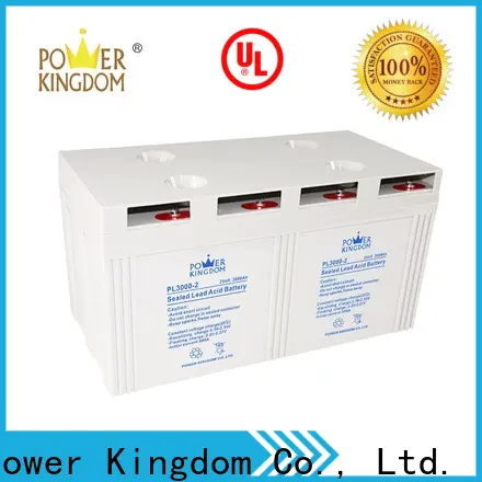 Power Kingdom New agm battery pack directly sale communication equipment