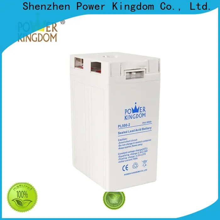 Power Kingdom Top atm battery for business electric toys