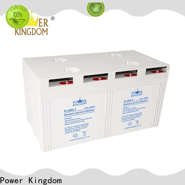 Power Kingdom comprehensive after-sales service 8d gel battery factory price fire system