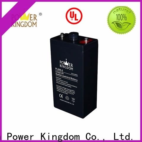 Power Kingdom 12v battery types factory electric toys