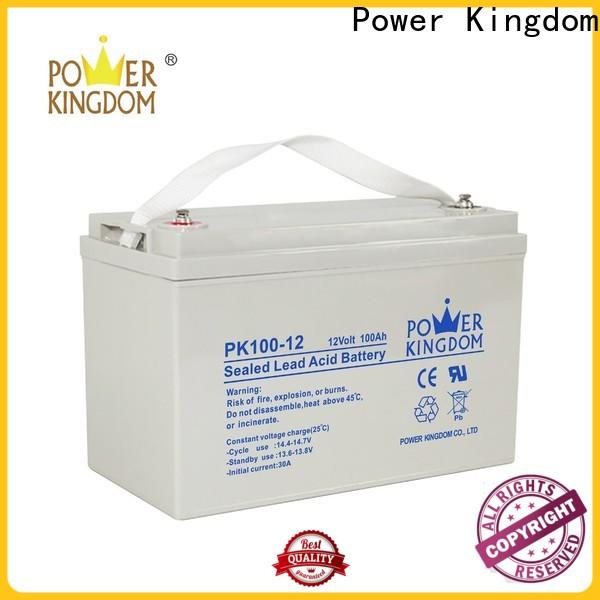 Power Kingdom High-quality gel battery maintenance wholesale