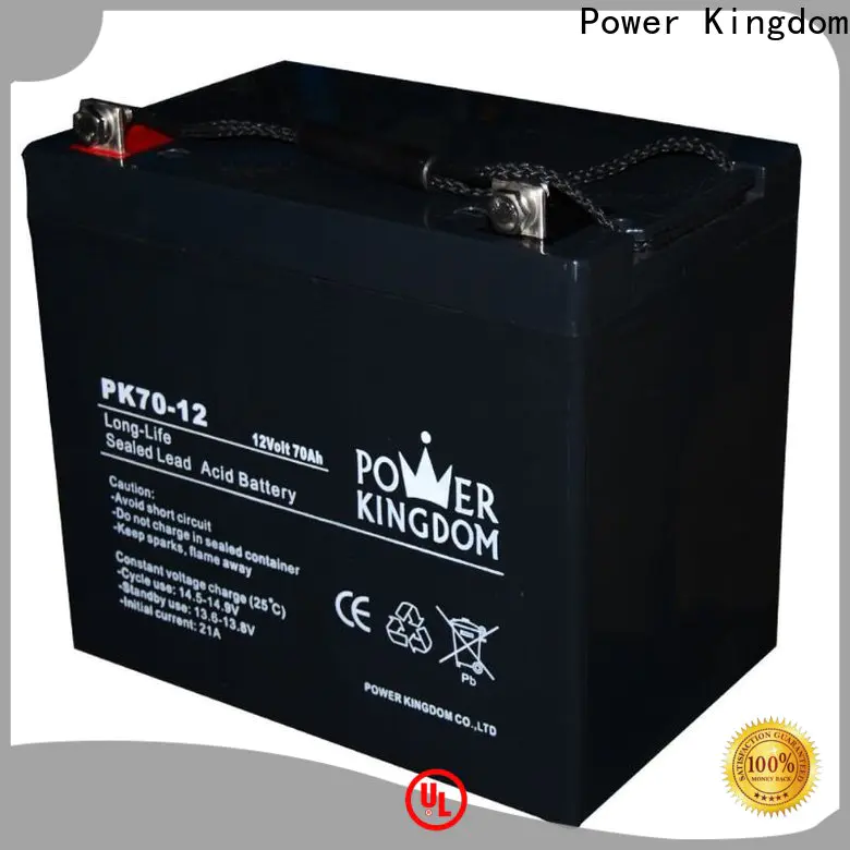 Power Kingdom High-quality deep cycle batteries solar panels factory price deep discharge device