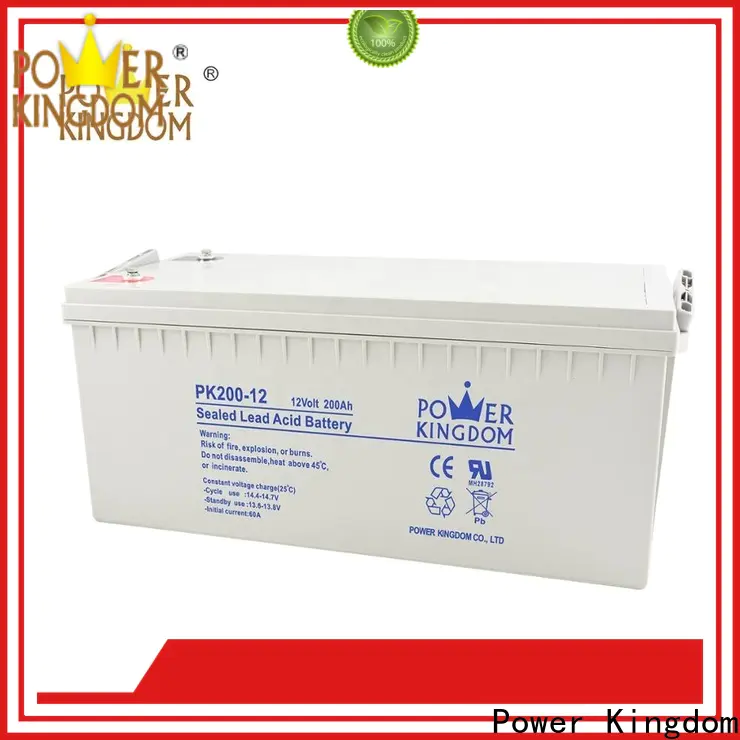 Power Kingdom agm type battery manufacturers