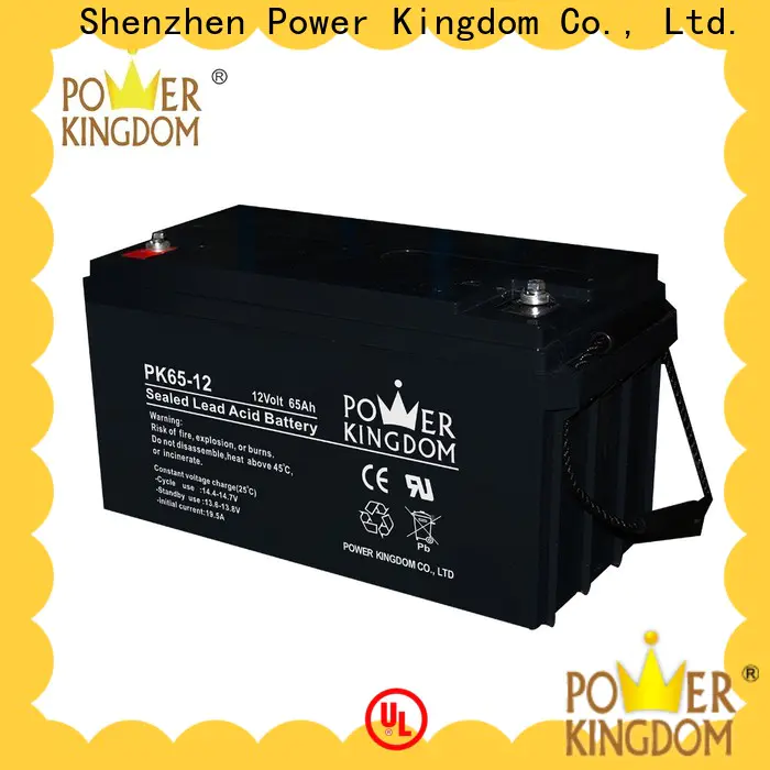 Power Kingdom Latest gel filled battery wholesale vehile and power storage system