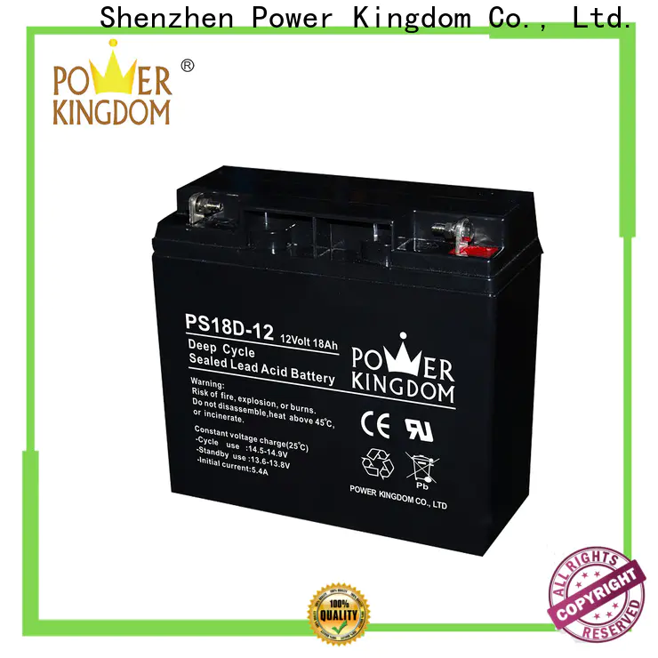 Power Kingdom agm gel cell battery Supply deep discharge device