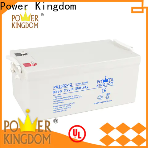 Power Kingdom no electrolyte leakage valve regulated lead acid battery Supply wind power systems