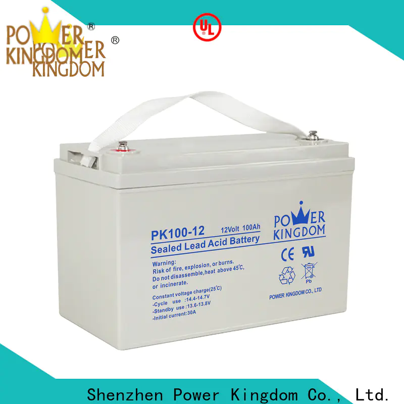 Power Kingdom deep cycle battery life for business vehile and power storage system