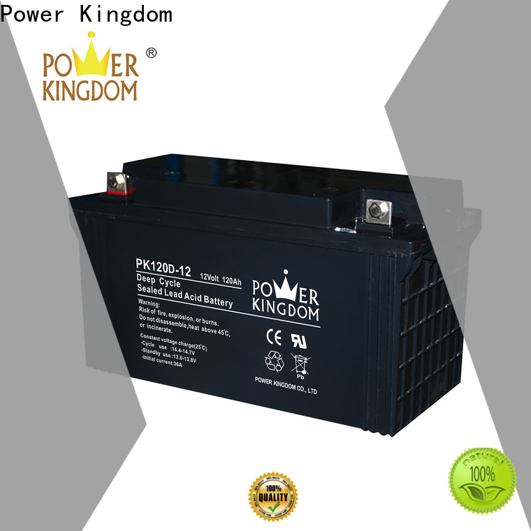 Power Kingdom agm batteries for solar storage personalized vehile and power storage system