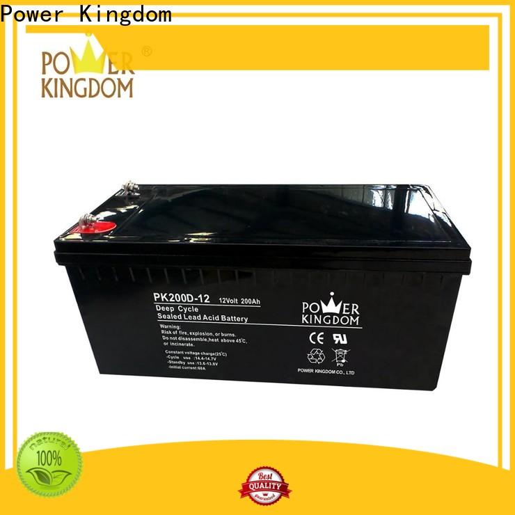 Power Kingdom Heat sealed design agm gel battery factory price vehile and power storage system