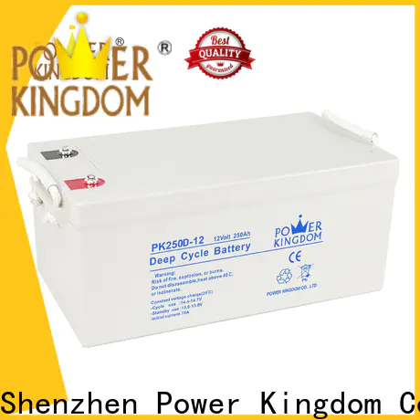 Power Kingdom Top deep cycle automotive battery factory price deep discharge device