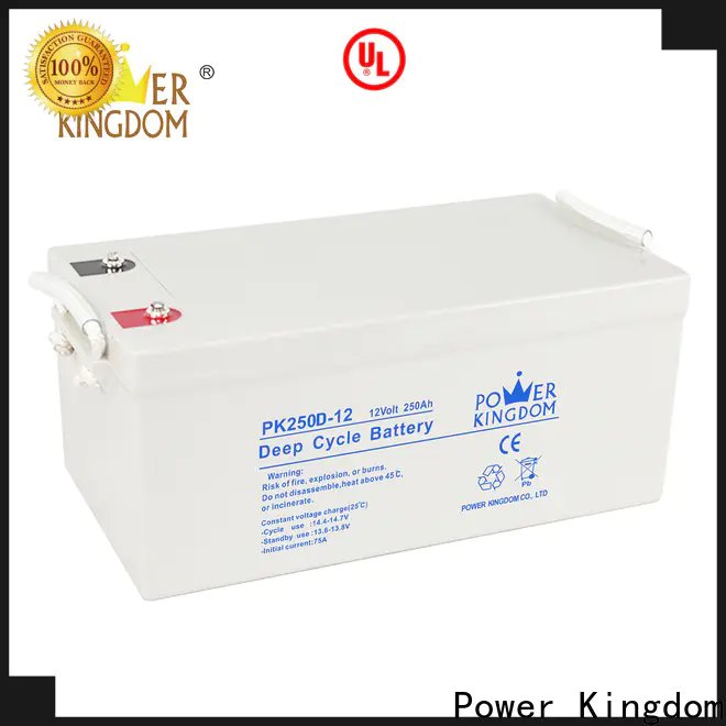 Power Kingdom Heat sealed design 6 volt agm battery prices factory vehile and power storage system