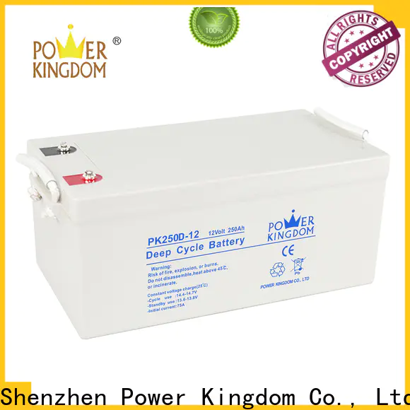 Power Kingdom Custom absorbent glass mat battery for business wind power systems