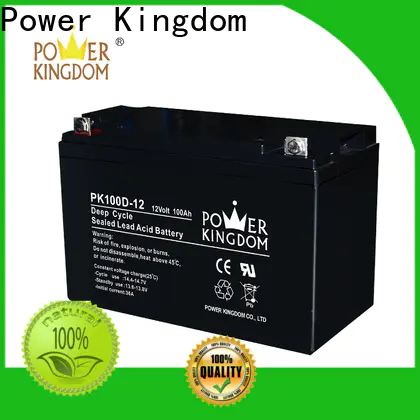 Power Kingdom Top everstart marine battery personalized deep discharge device