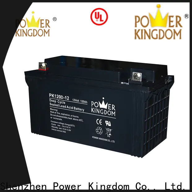 Power Kingdom 12 agm battery personalized