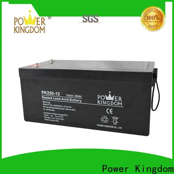 Power Kingdom poles design charging cycle company deep discharge device
