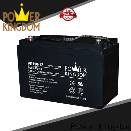 Power Kingdom New best agm battery brand wholesale