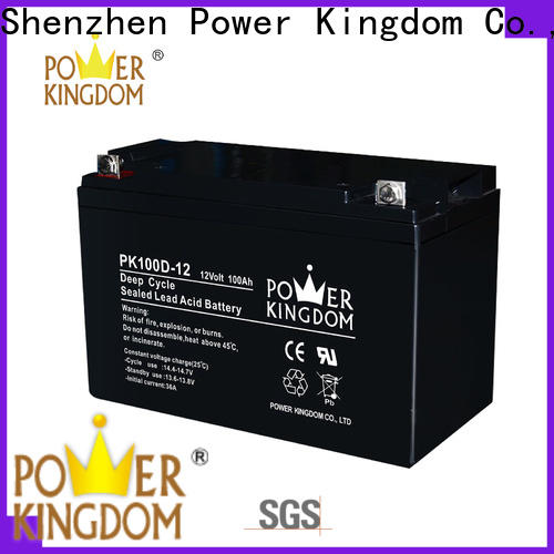 Power Kingdom Latest compact deep cycle battery personalized vehile and power storage system