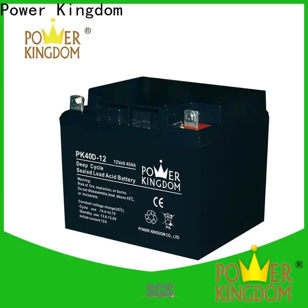 Power Kingdom New maintenance free battery Supply deep discharge device