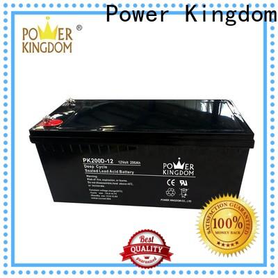 Power Kingdom poles design maintenance free deep cycle battery supplier