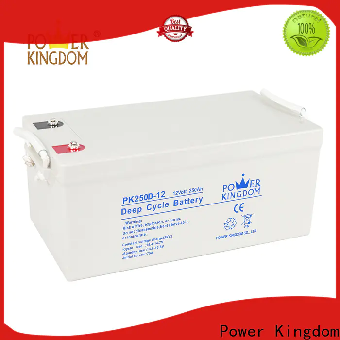 Power Kingdom agm battery technology wholesale vehile and power storage system