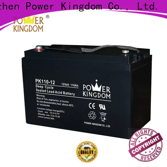 Custom 6v lead acid battery personalized wind power systems