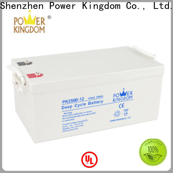 Power Kingdom deep cycle sealed lead acid battery manufacturers vehile and power storage system