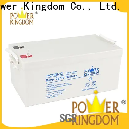 Power Kingdom the best agm battery factory wind power systems