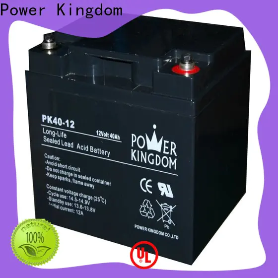 Power Kingdom cheap 12v deep cycle battery supplier vehile and power storage system