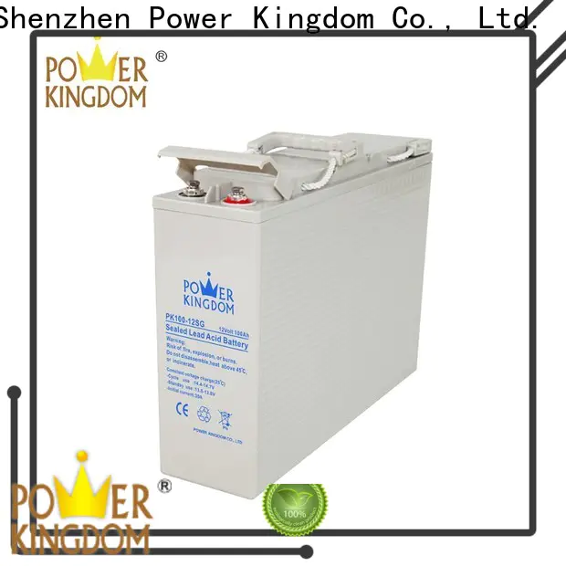 Power Kingdom lead acid gel battery factory price