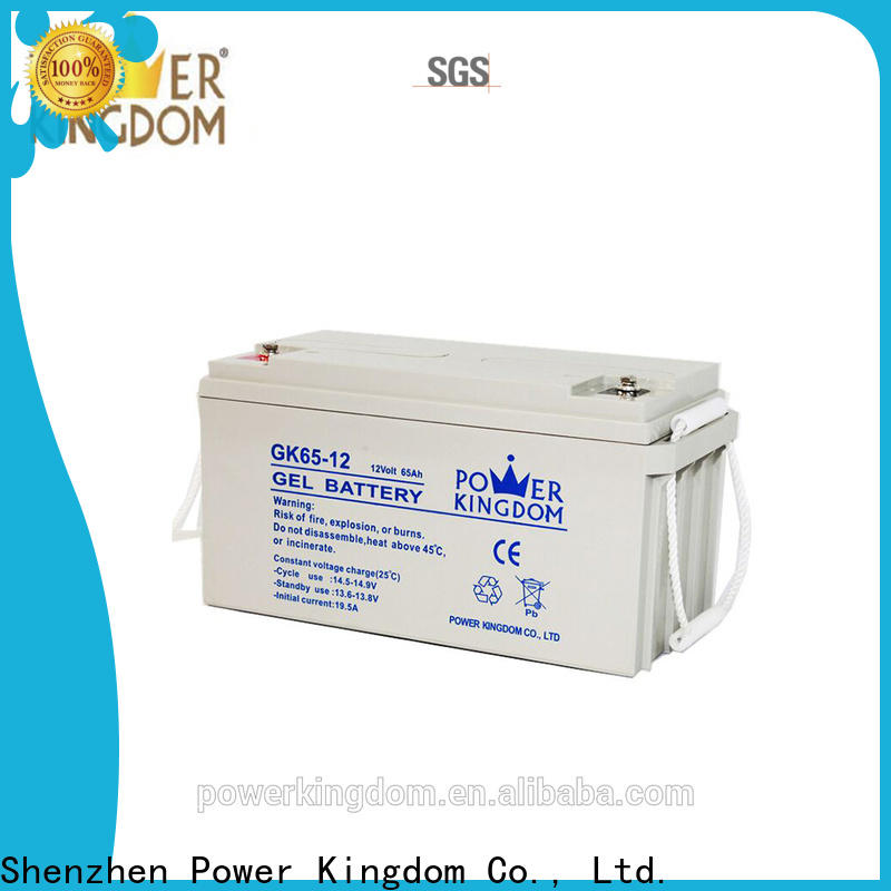 Power Kingdom Latest deep cell battery maintenance supplier deep discharge device