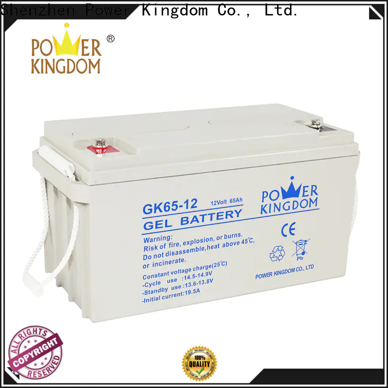 Power Kingdom small 12v deep cycle marine battery factory vehile and power storage system