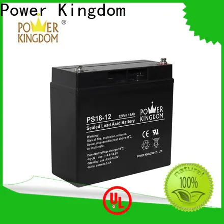 Power Kingdom High-quality deep cycle battery amps factory price vehile and power storage system