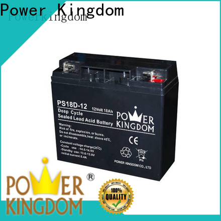 Power Kingdom cheap agm batteries factory price deep discharge device