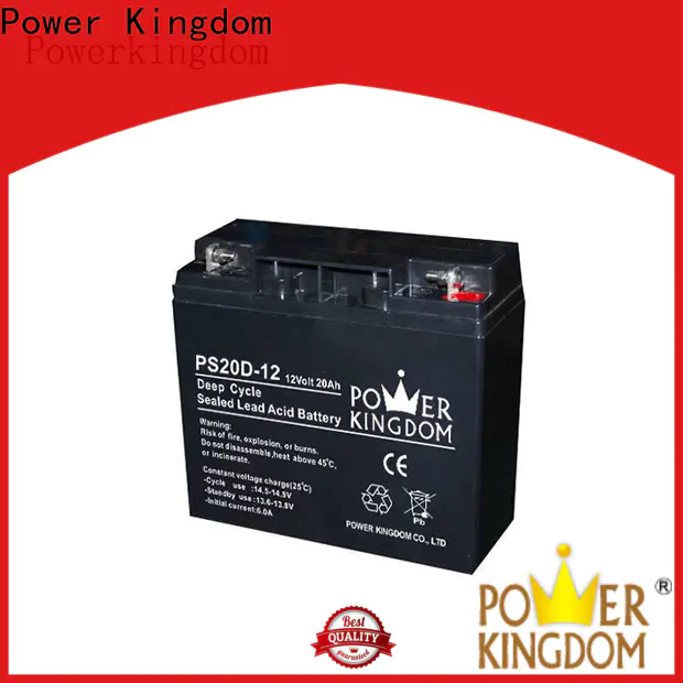 Power Kingdom cycle 12v agm for business