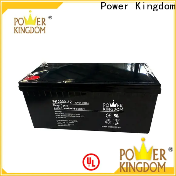 Power Kingdom High-quality 100ah agm battery wholesale vehile and power storage system