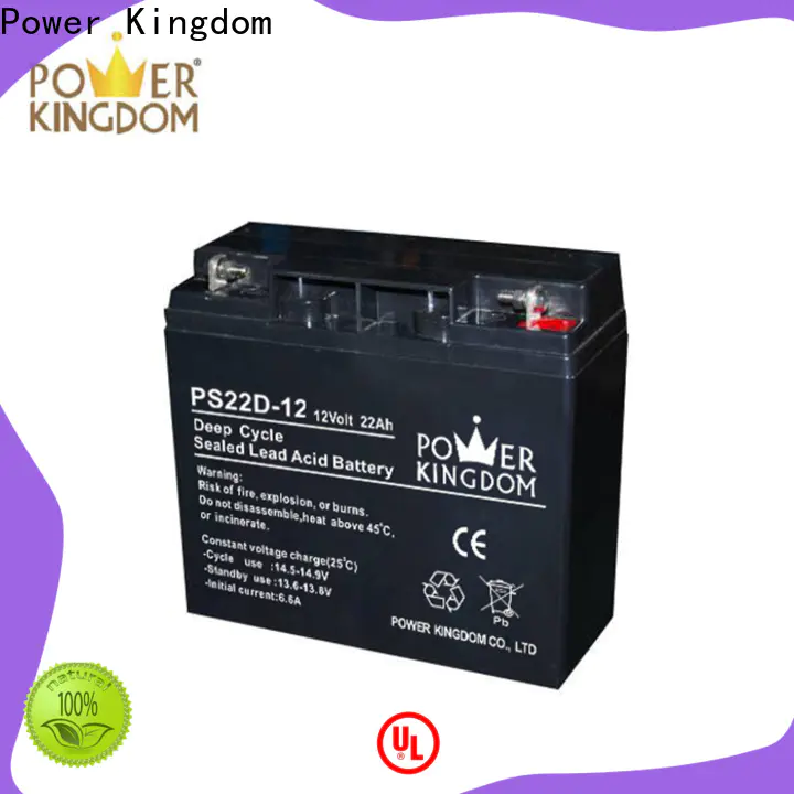 Power Kingdom Latest deep cycle sealed lead acid battery Suppliers