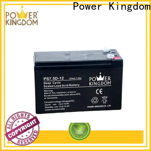 Power Kingdom flooded deep cycle battery company vehile and power storage system
