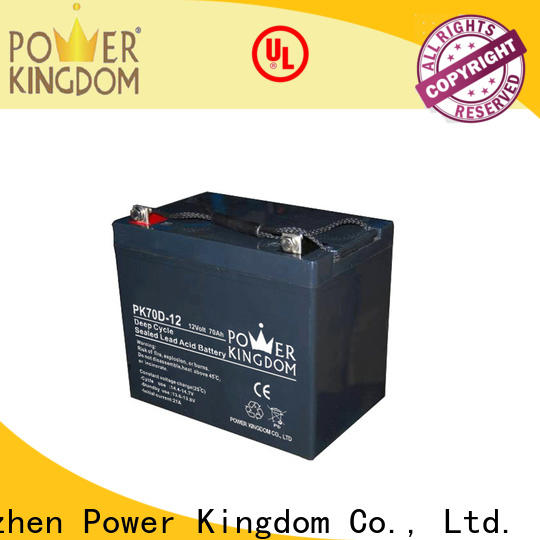 Power Kingdom best agm deep cycle rv battery company deep discharge device